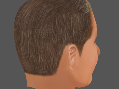 Tim Cook Head - Low poly head for game Modèle 3D
