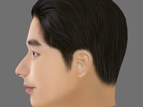 Gong Yoo Head - Low poly head for game 3D Model