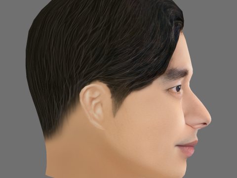 Gong Yoo Head - Low poly head for game 3D Model