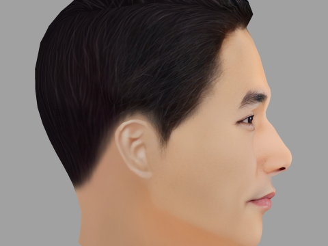 Song Seung Heon Head - Low poly head for game Modelo 3D