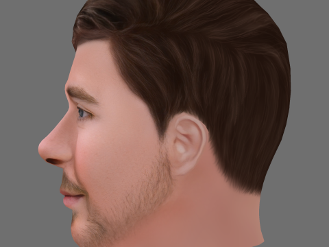 MrBeast - Jimmy- Donaldson Head - Low poly head for game 3D Модель