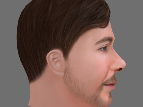 MrBeast - Jimmy- Donaldson Head - Low poly head for game 3D Модель