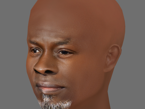 Djimon Hounsou Head - Low poly head for game 3D Модель
