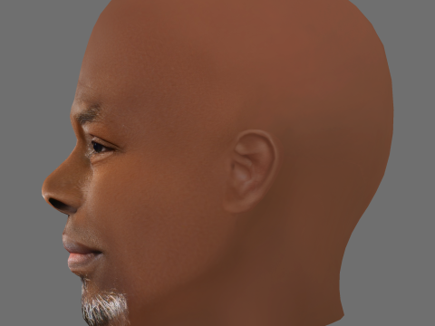 Djimon Hounsou Head - Low poly head for game 3D Модель