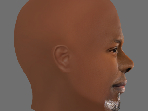 Djimon Hounsou Head - Low poly head for game 3D Модель