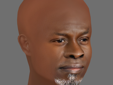 Djimon Hounsou Head - Low poly head for game 3D Модель