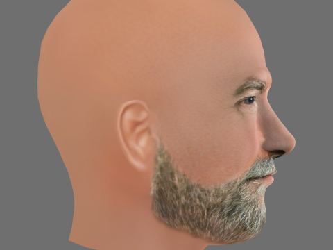 Graham McTavish Head - Low poly head for game Modello 3D