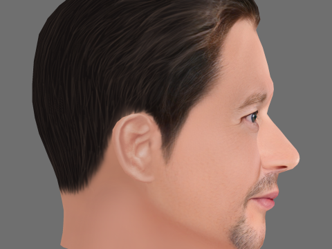 Leigh Whannell Head - Low poly head for game 3D 模型