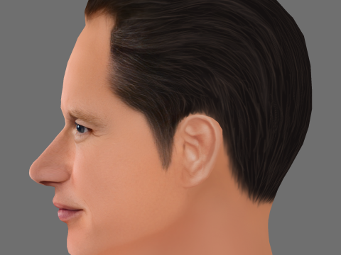Patrick Wilson Head - Low poly head for game Modello 3D
