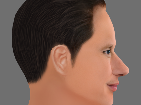 Patrick Wilson Head - Low poly head for game Modello 3D