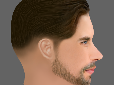 Ross Kernahan Head - Low poly head for game 3D Модель