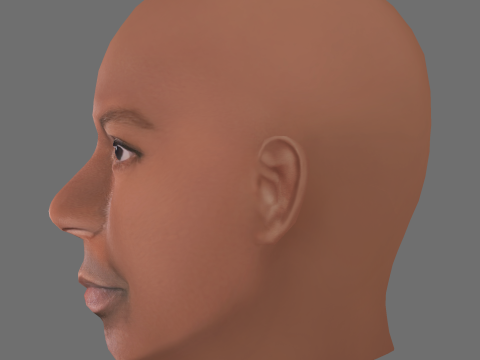Ving Rhames Head - Low poly head for game 3D 모델