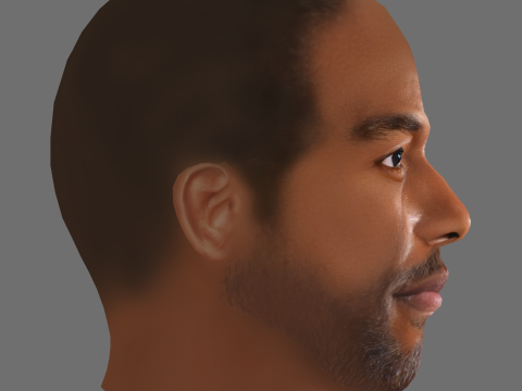 Yahya Abdul-Mateen II Head - Low poly head for game Model 3D