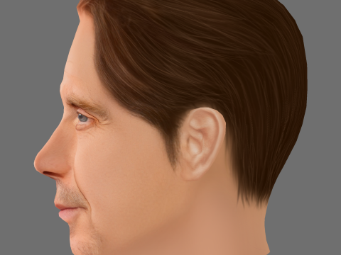 Rhys Ifans Head - Low poly head for game 3D Model