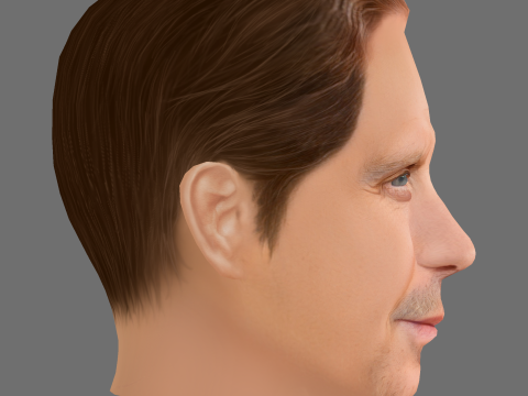 Rhys Ifans Head - Low poly head for game 3D Model