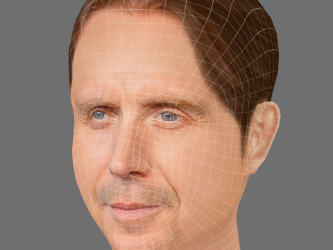 Rhys Ifans Head - Low poly head for game 3D Model