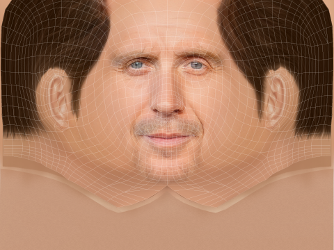 Rhys Ifans Head - Low poly head for game 3D Model