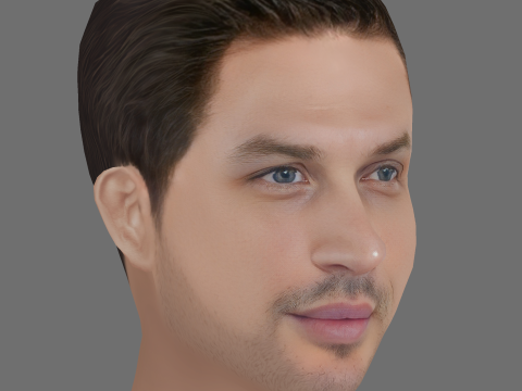 Tom Hardy Head - Low poly head for game 3D Model