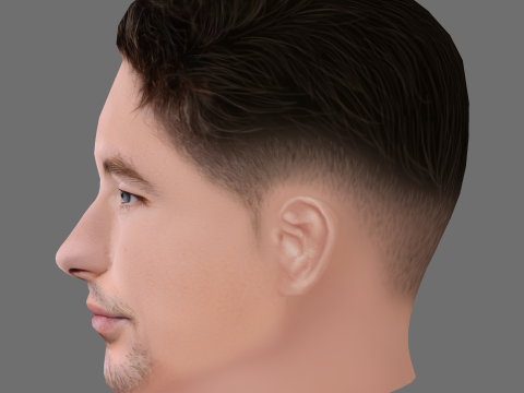 Barry Keoghan Head - Low poly head for game Model 3D