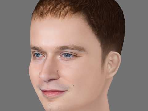 Fred Hechinger Head - Low poly head for game 3D 모델