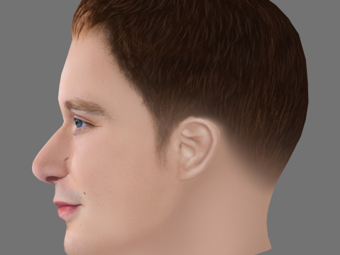 Fred Hechinger Head - Low poly head for game 3D 모델
