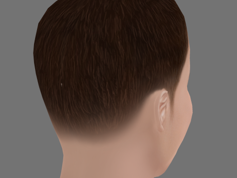 Fred Hechinger Head - Low poly head for game 3D 모델