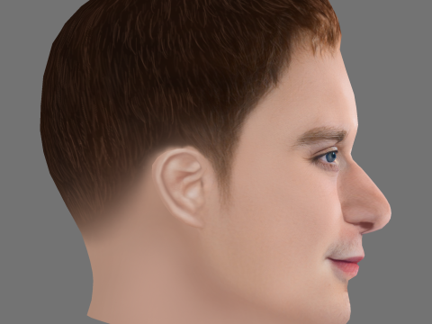 Fred Hechinger Head - Low poly head for game 3D 모델