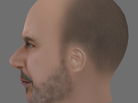 Lior Raz Head - Low poly head for game 3D Модель