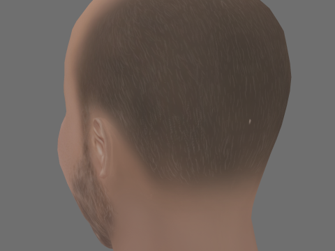 Lior Raz Head - Low poly head for game 3D Модель