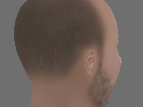Lior Raz Head - Low poly head for game 3D Модель