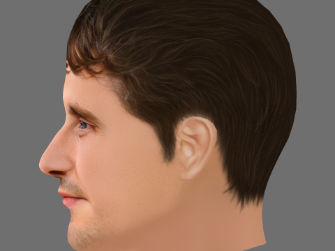 Paul Mescal Head - Low poly head for game Modèle 3D