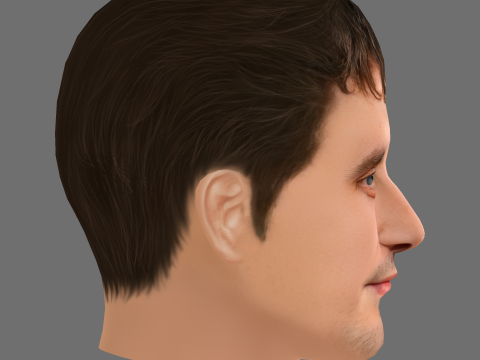 Paul Mescal Head - Low poly head for game Modèle 3D