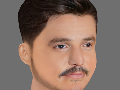 Pedro Pascal Head - Low poly head for game 3D Model