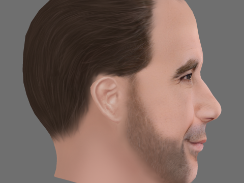 Rory McCann Head - Low poly head for game 3D Model