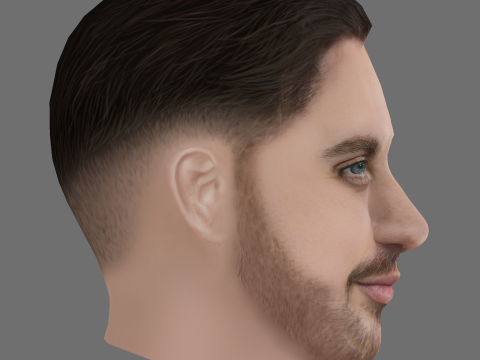 Aaron Taylor-Johnson Head - Low poly head for game 3D 모델