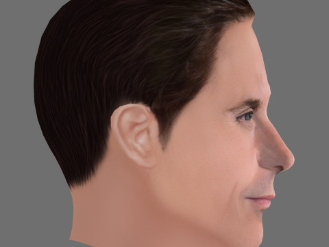 Alessandro Nivola Head - Low poly head for game Modelo 3D