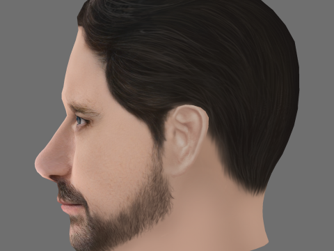 Alex Skarbek Head - Low poly head for game Modelo 3D
