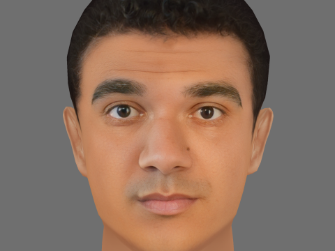 Callan Taverner Head - Low poly head for game 3D मॉडल