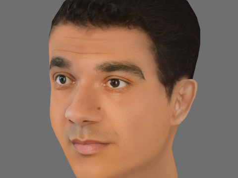 Callan Taverner Head - Low poly head for game 3D Model