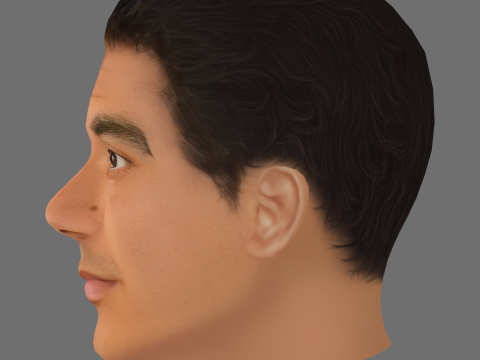 Callan Taverner Head - Low poly head for game 3D Model