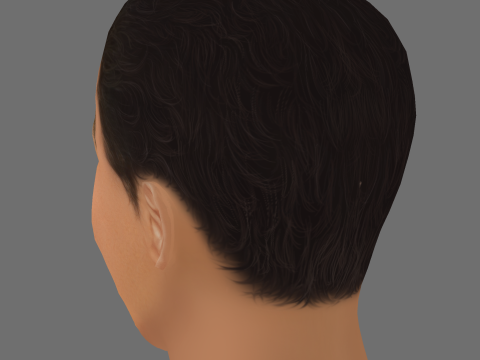 Callan Taverner Head - Low poly head for game 3D Model