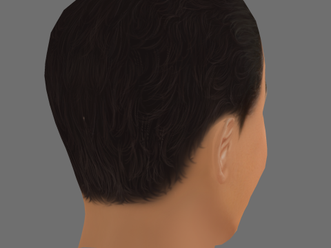 Callan Taverner Head - Low poly head for game 3D Model