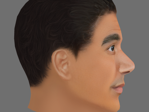 Callan Taverner Head - Low poly head for game 3D Model