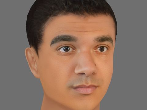 Callan Taverner Head - Low poly head for game 3D Model