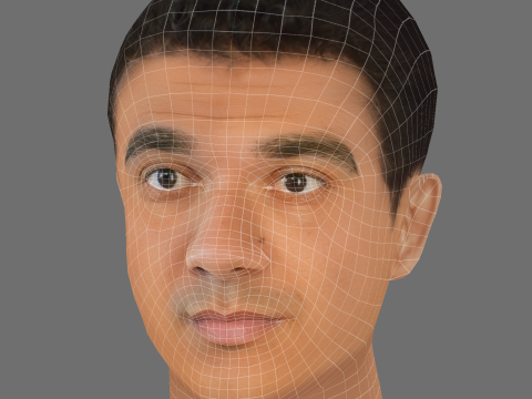 Callan Taverner Head - Low poly head for game 3D Model