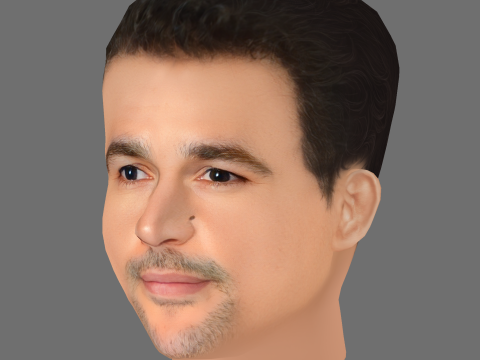 Christopher Abbott Head - Low poly head for game 3D Model