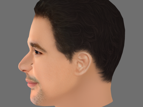 Christopher Abbott Head - Low poly head for game 3D Model