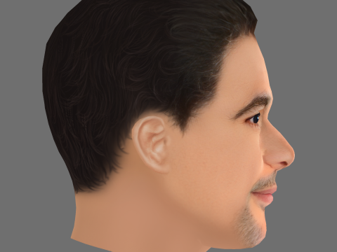 Christopher Abbott Head - Low poly head for game 3D Model