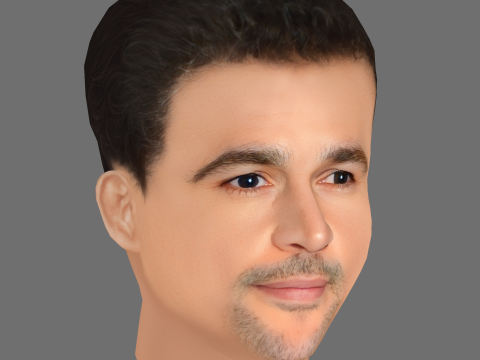 Christopher Abbott Head - Low poly head for game 3D Model