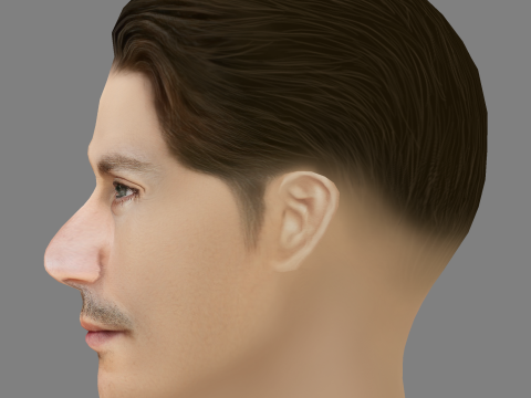 Greg Kolpakchi Head - Low poly head for game 3D Модель